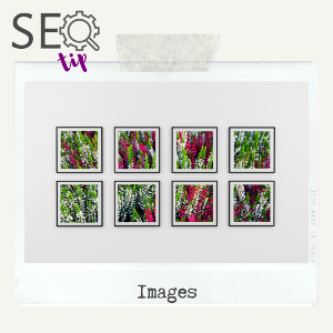 seo-tip-images